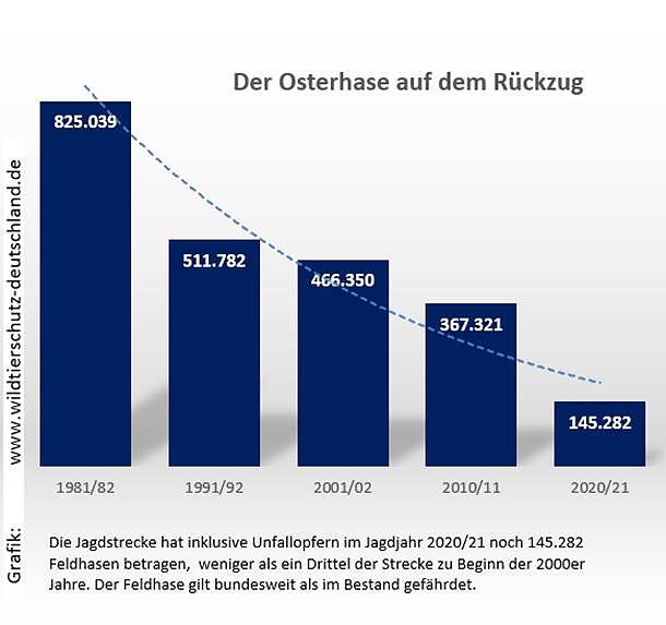 Der Osterhase auf dem R&uuml;ckzug (Foto: Wildtierschutz Deutschland)