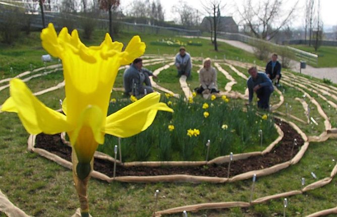 Ab durchs Labyrith (Foto: PSV) Ab durchs Labyrith (Foto: PSV)