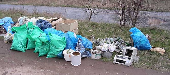 Gesammelter M&uuml;ll (Foto: M. Freiberg)