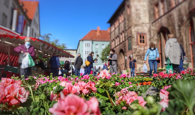 Geranienmarkt vor dem Rathaus (Foto: Stadtverwaltung Nordhausen) Geranienmarkt vor dem Rathaus (Foto: Stadtverwaltung Nordhausen)