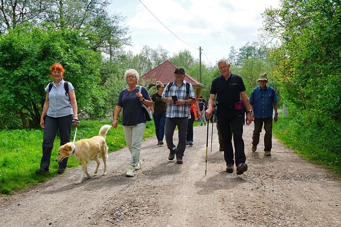 Silke Staubitz (links) vom Hotspot-Projekt Gipskarst S&uuml;dharz startet mit einigen Wanderern vom Infopavillon in Niedersachswerfen auf dem Feuersalamanderpfad.  (Foto: Susanne Schedwill)