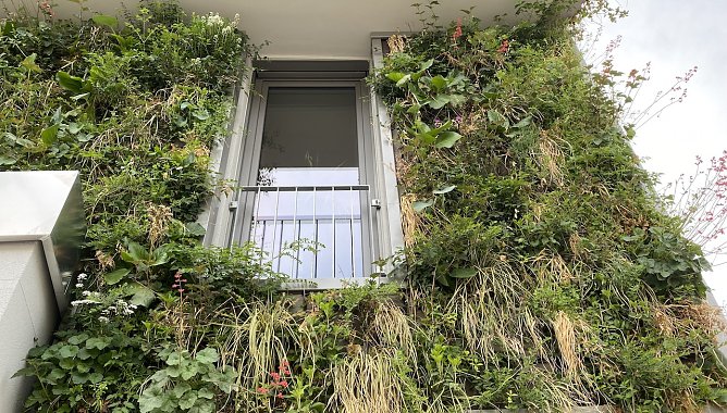 Nordhausens grünstes Haus wurde feierlich eingeweiht (Foto: oas) Nordhausens grünstes Haus wurde feierlich eingeweiht (Foto: oas)