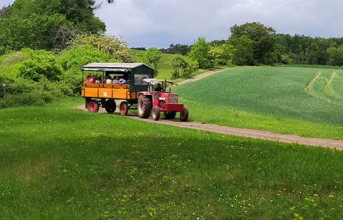 Wandertag mit Kremserfahrt (Foto: C.Wilhelm) Wandertag mit Kremserfahrt (Foto: C.Wilhelm)