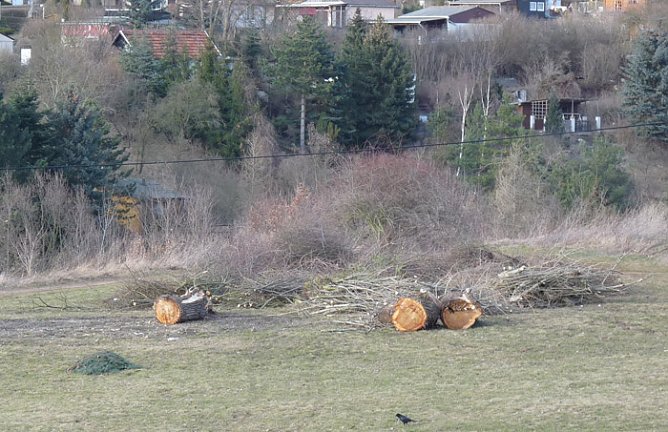 Winterwetter 2 (Foto: Karl-Heinz Herrmann)