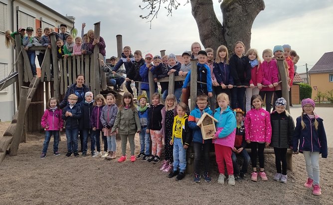 Dien keinen Insektensch&uuml;tzer aus Werther  (Foto: Katja Schraps)