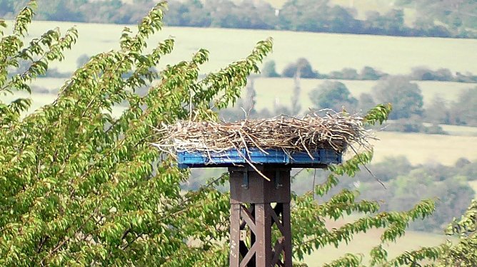 Verwaistes Storchennest am Stausee Kelbra (Foto: Ulrich Reinboth) Verwaistes Storchennest am Stausee Kelbra (Foto: Ulrich Reinboth)