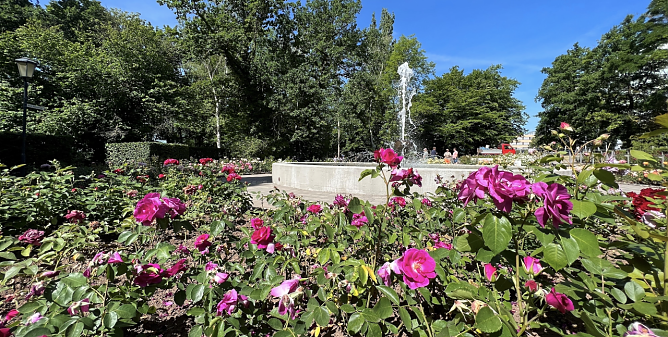 Die zweite Runde der "Parknick"-Reihe wird am Sonntag im Rosengarten eingel&auml;utet (Foto: Stadtverwaltung Nordhausen)