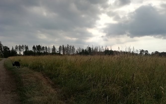 Morgendliche Stimmung heute in Sophienhof bei 14 Grad Celsius (Foto: W.J&ouml;rgens)