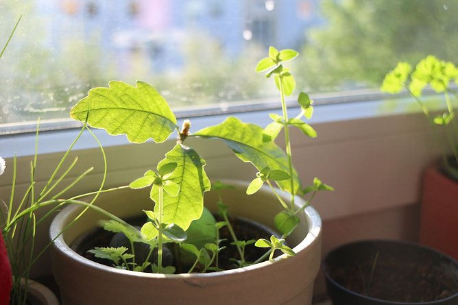 Wetterbild (Foto: agl) Wetterbild (Foto: agl)