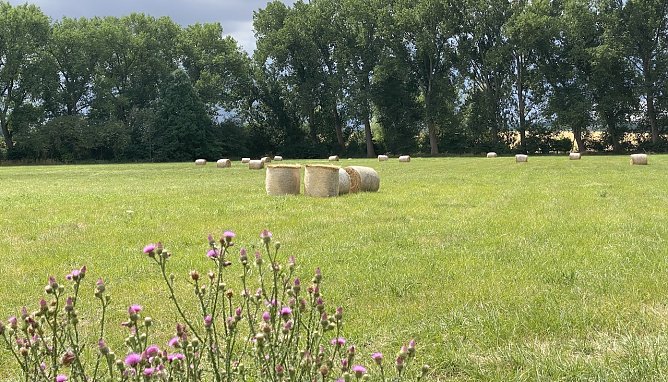 Bei Bad Langensalza (Foto: oas)