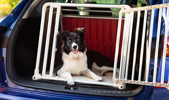 Sicherheit ist Pflicht – besonders, wenn der Vierbeiner mit an Bord ist (Foto: ATU) Sicherheit ist Pflicht – besonders, wenn der Vierbeiner mit an Bord ist (Foto: ATU)