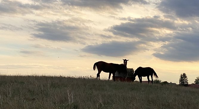Weiter regnerisch und kühl (Foto: oas) Weiter regnerisch und kühl (Foto: oas)