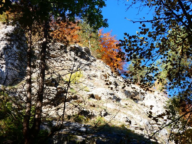 Am Alten Stolberg gibt es viel zu entdecken (Foto: Anja Apel) Am Alten Stolberg gibt es viel zu entdecken (Foto: Anja Apel)