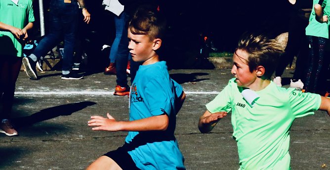 Herbstcrosslauf im Gehege (Foto: agl)