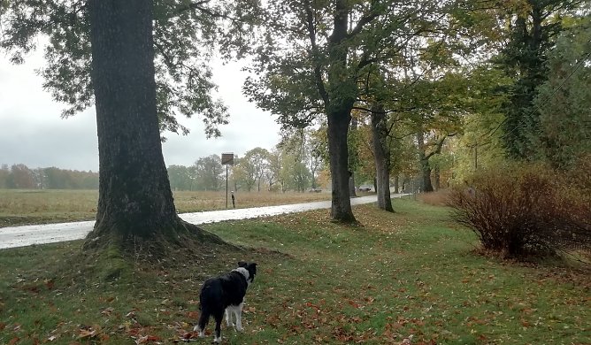 I Sophienhof im Harz lagen die Temoperaturen heute Morgen bei 10 Grad Celsius, die Sonne k&auml;mpfte sich m&uuml;hsam durch die Wolken (Foto: W.J&ouml;rgens)