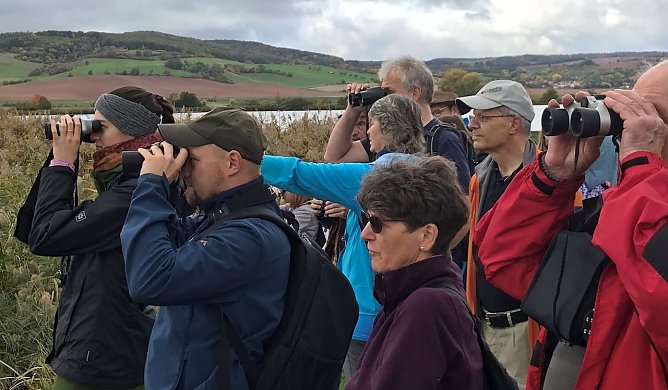 Beobachtung von Kranichen und anderen seltenen Vögeln (Foto: S.Staubitz) Beobachtung von Kranichen und anderen seltenen Vögeln (Foto: S.Staubitz)