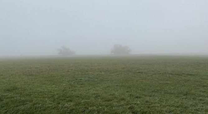 Vielerorts in Thüringen nachts und am Morgen neblig (Foto: oas) Vielerorts in Thüringen nachts und am Morgen neblig (Foto: oas)