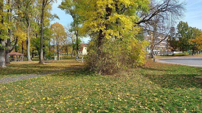 Blick in den Heinepark auf die Regelschule (Foto: Stadt Ellrich)