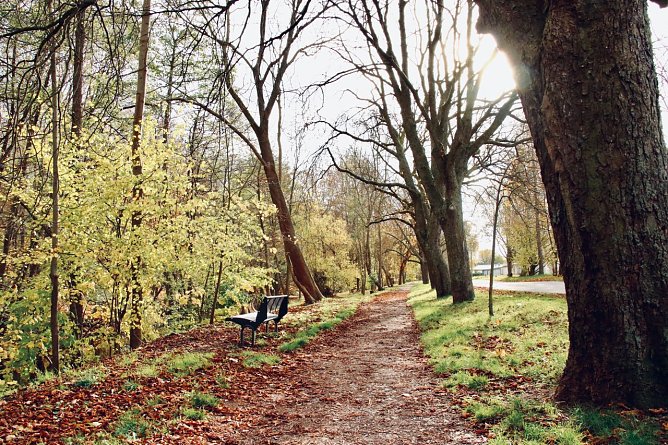 Wetterbild (Foto: agl)