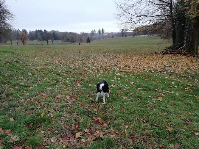 In Sophienhof im Harz ist der Schnee der letzten Tage nur noch Erinnerung (Foto: W. J&ouml;rgens)