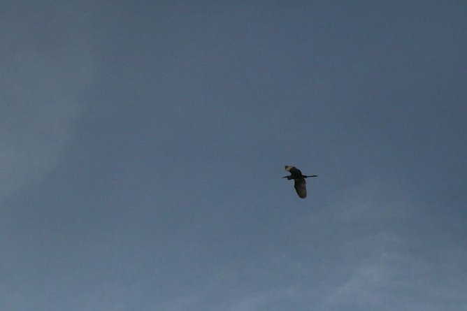 Wetterbild (Foto: agl)