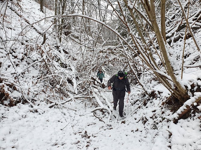 Eine wundersch&ouml;ne Winterlandschaft, die aber nicht immer leicht zu begehen war; hier kurz vor Steigerthal acht Kilometer nach dem Start.� (Foto: Bodo Schwarzberg)