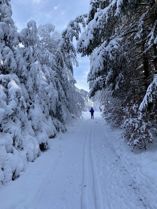 Glanz und Schlichtheit (Foto: Sophie Walther)