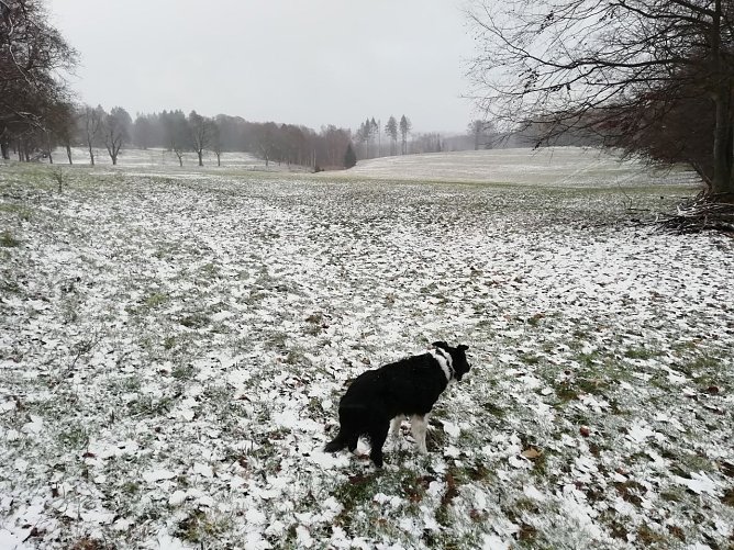 Sophienhof am Dienstagmorgen (Foto: W. J&ouml;rgens)