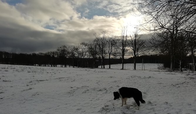 Minus 1 Grad, kaum Wind und gutes Wanderwetter verspricht heute Th&uuml;ringens n&ouml;rdlichster Punkt in Sophienhof  (Foto: W.J&ouml;rgens)