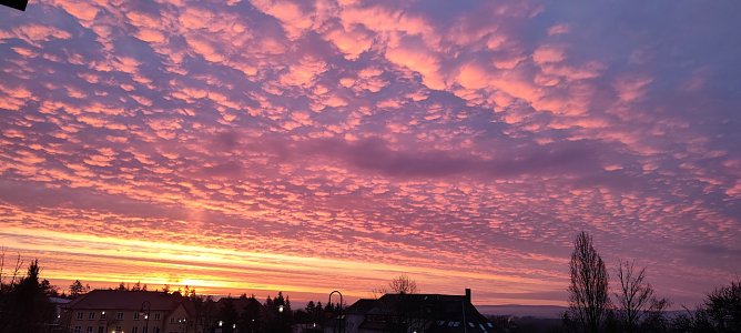 Sonnenaufgang am Sonntag (Foto: Gunnar M&uuml;ller)