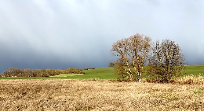 Weiterhin mildes Wetter (Foto: oas)