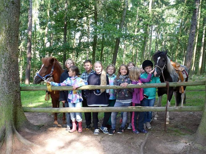 Sommerferien auf Harzrigi (Foto: Horizont)