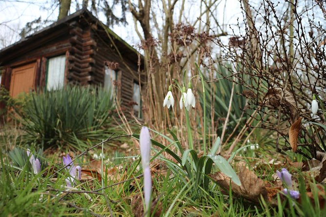 Wetterbild (Foto: agl)