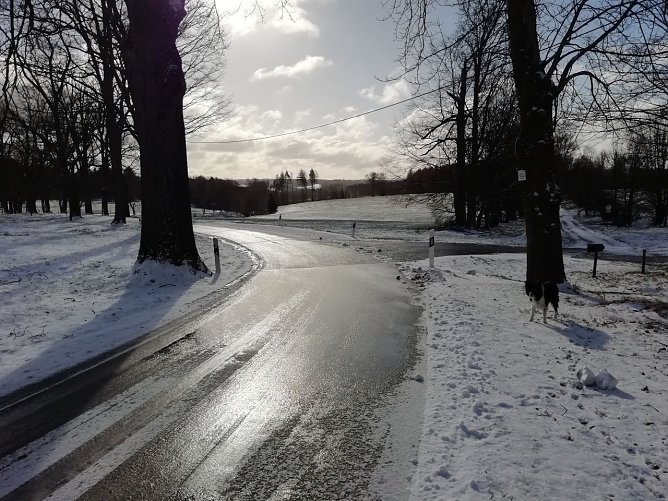 In Sophienhof ist der Winter noch einmal zur&uuml;ckgekehrt (Foto: W. J&ouml;rgens)