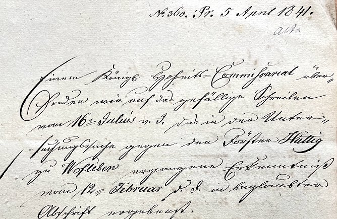 Auszug aus dem Brief des F&ouml;rsters H&uuml;ttig (Foto: T.Sch&auml;fer)