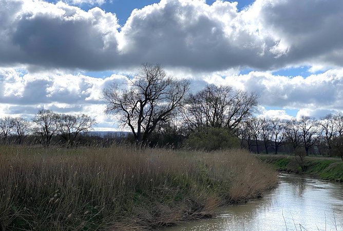 An der Unstrut  (Foto: oas)