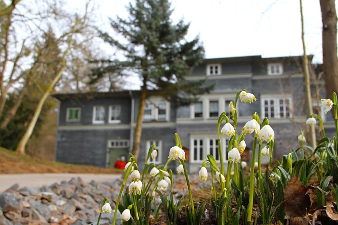 Auch im Park h&auml;lt langsam der Fr&uuml;hling Einzug (Foto: agl)