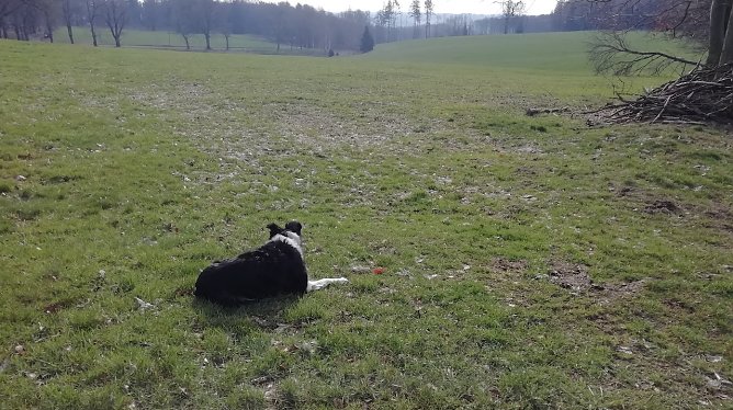 Null Grad und windig heute Morgen in Sophienhof (Foto: W.J&ouml;rgens)