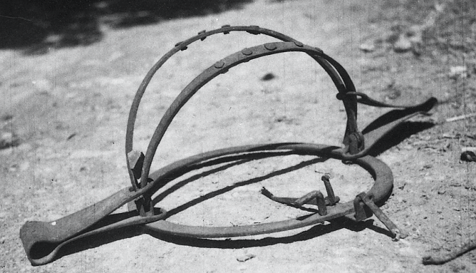 Schlagfalle, Symbolbild (Foto: Wikimedia commons, Pavla �trukelj)