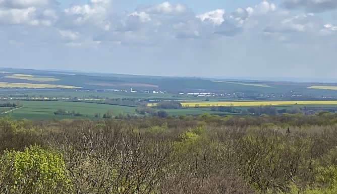 Blick vom Baumkronenpfad (Foto: oas) Blick vom Baumkronenpfad (Foto: oas)