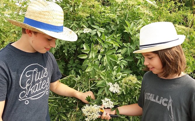 Alte Hüte sind gefragt (Foto: KILA) Alte Hüte sind gefragt (Foto: KILA)