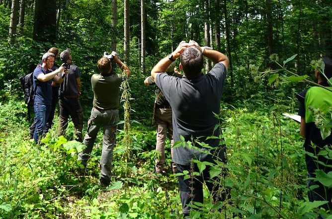 Waldzustandsexperten in Auftrag von ThüringenForst (Foto: Krahnberg) Waldzustandsexperten in Auftrag von ThüringenForst (Foto: Krahnberg)