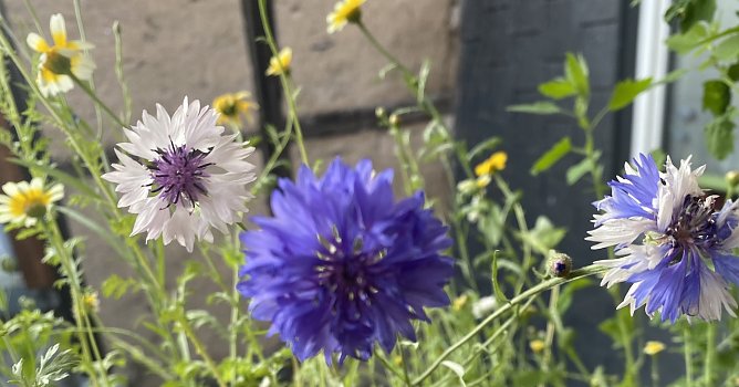 Zur&uuml;ckgehende Temperaturen nach Gewittern am Montag (Foto: emw)