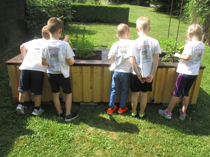 Neugierig wird das neue Hochbeet begutachtet (Foto: Katharina Hille)