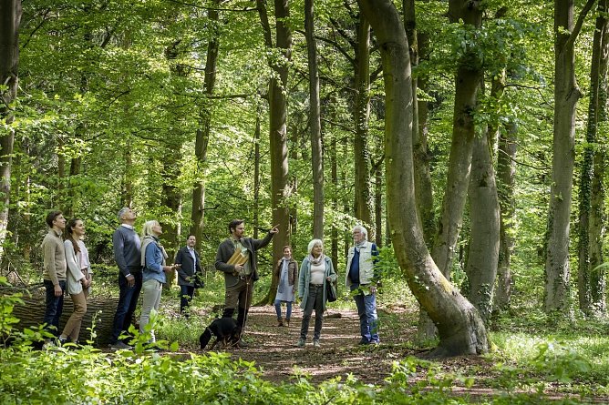Waldf&uuml;hrung durch den FriedWald (Foto: FriedWald GmbH)