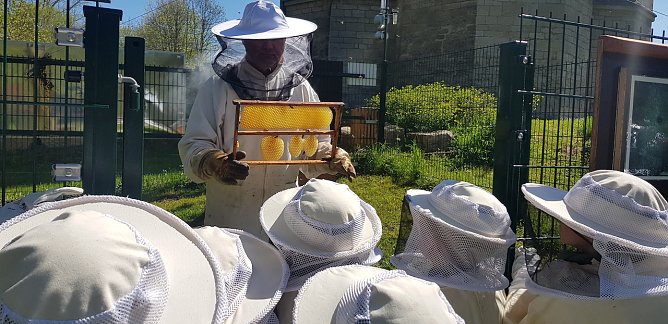 Bienenkirche in W&uuml;lfingerode (Foto: R.Englert)