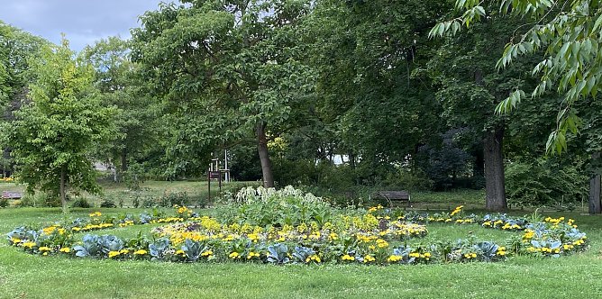 Nach schwülwarmem Wetter drohen wieder Unwetter (Foto: oas) Nach schwülwarmem Wetter drohen wieder Unwetter (Foto: oas)