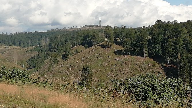 16 Grad, leichter Wind und Sonne heute in Sophienhof im Harz (Foto: W.Jörgens) 16 Grad, leichter Wind und Sonne heute in Sophienhof im Harz (Foto: W.Jörgens)