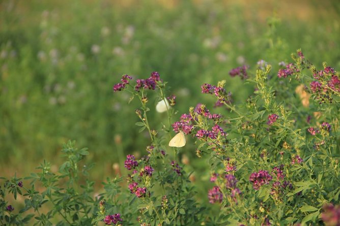 Wetterbild (Foto: agl) Wetterbild (Foto: agl)