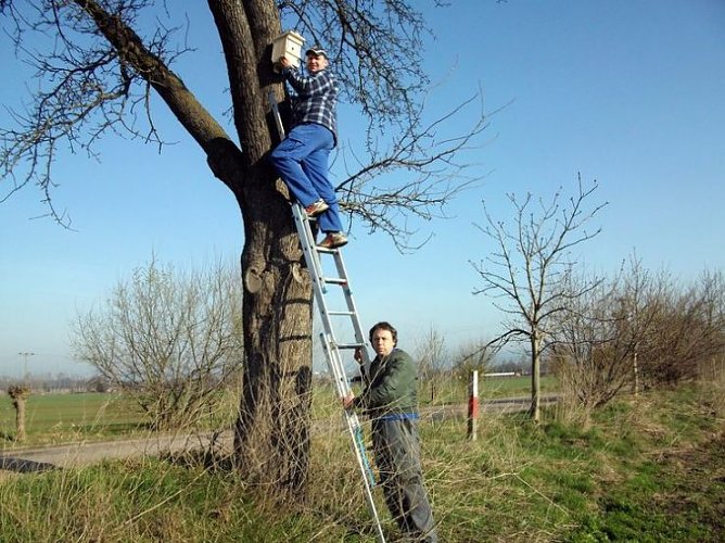 nistk&auml;sten (Foto: heringen)